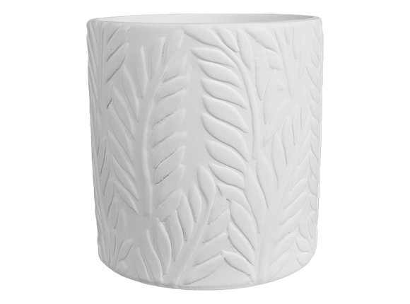 Tropical Fern Planter