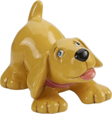 Playful Puppy