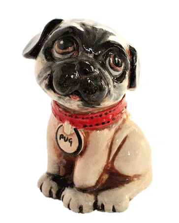Pug