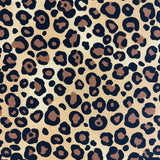 Leopard Cotton Poplin