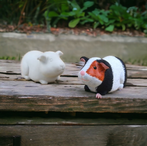 Guinea Pig