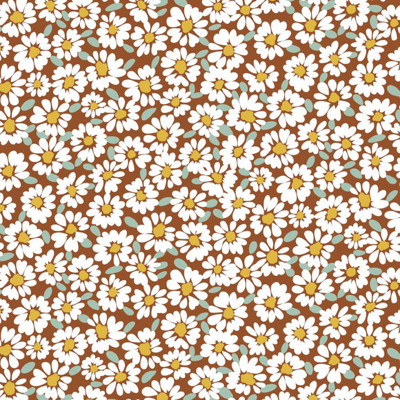 Coated Cotton Daisy (Pumpkin)