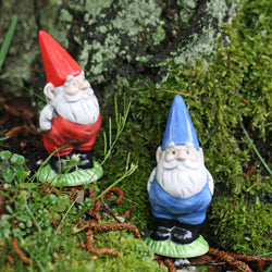 Gnome